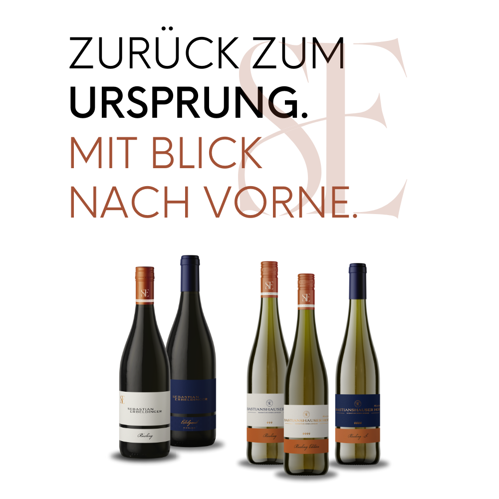 Zurück zum Urspung. Mit Blick nach vorne.